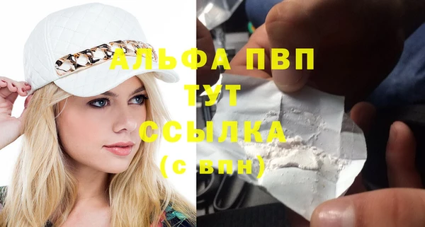 дживик Абаза