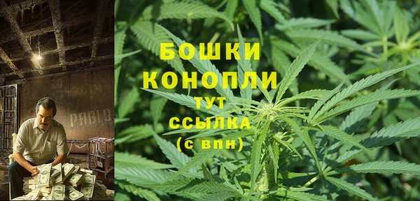 дживик Абаза