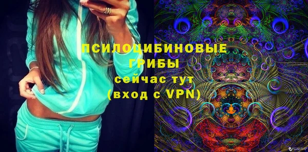 соль ск Алзамай